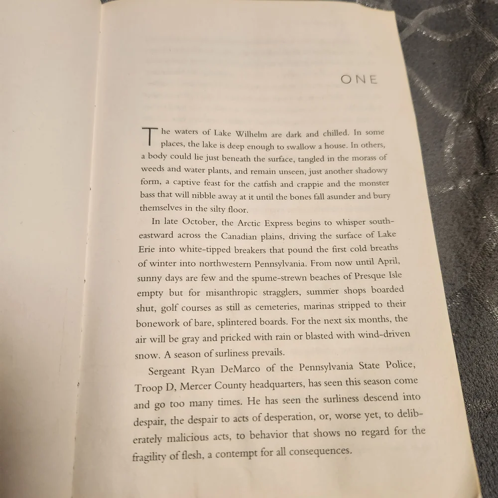 Two Days Gone Paperback Book - White & Red Cover - Picture 3 of 3